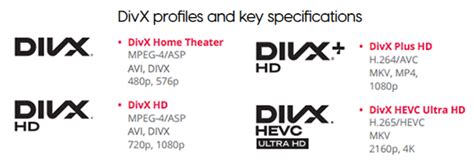 what does .divx stand for|DivX Format Explained: Types of DivX and Video .